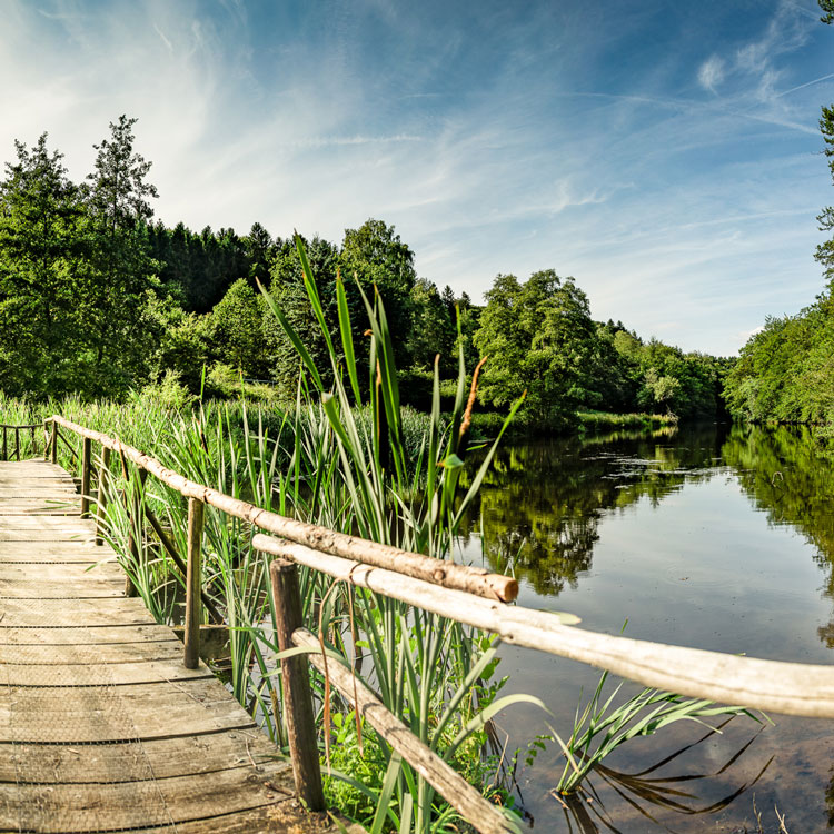 Neumühle See und Brücke