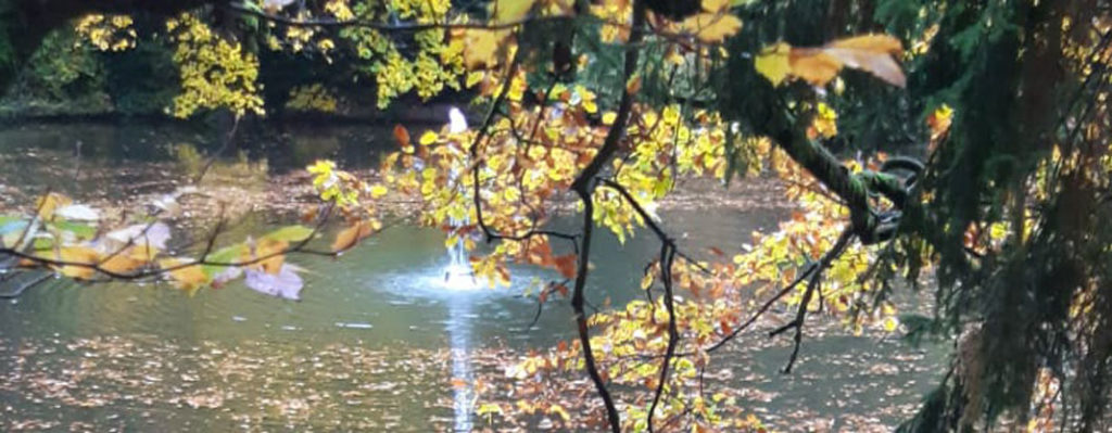 Meditationswochenende an der Neumühle