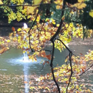 Meditationswochenende an der Neumühle