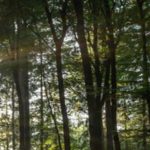 Neuhmuehle_Fruehling