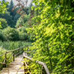 Neumühle Sommer
