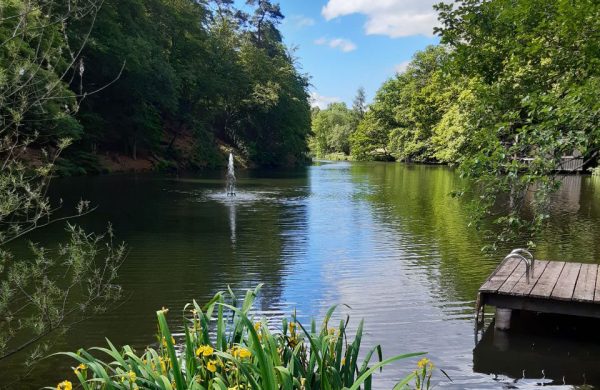 See in der Neumühle Saar